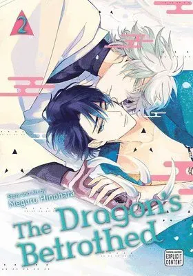Dragon's Betrothed, Vol. 2