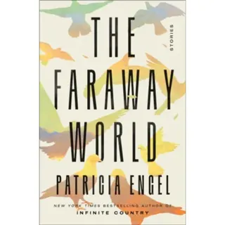 The Faraway World