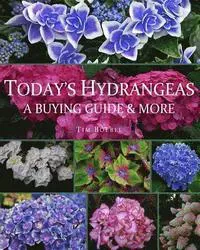 Today's Hydrangeas
