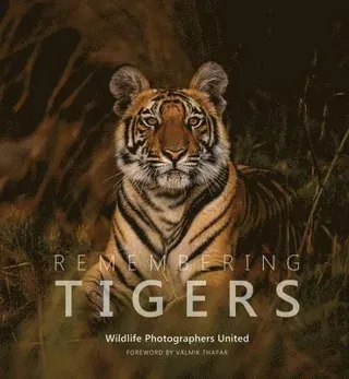 Remembering Tigers