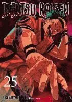 Jujutsu Kaisen - Band 25