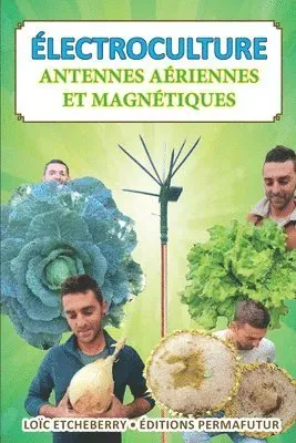 Antennes aériennes et magnétiques