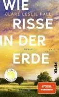 Wie Risse in der Erde