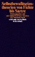Selbstbewußtseinstheorien von Fichte bis Sartre
