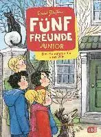 Fünf Freunde JUNIOR - Das Geheimnis der alten Villa