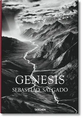 Sebastiao Salgado