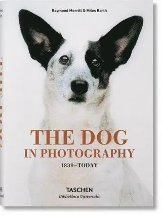 The Dog in Photography 1839–Today