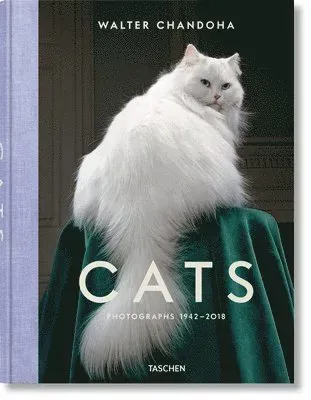 Walter Chandoha. Cats. Photographs 1942–2018