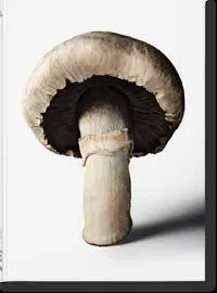 The Gourmand's Mushroom