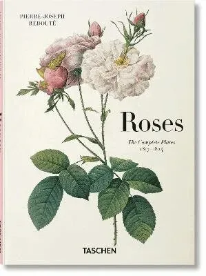 Redoute. Roses