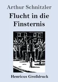 Flucht in die Finsternis (Großdruck)