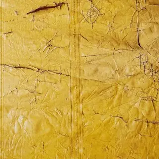 David Hammons