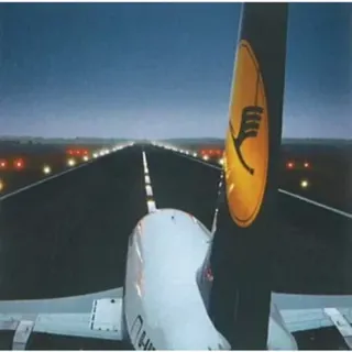 Wings of the Crane