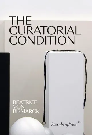 Curatorial Condition