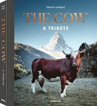 The Cow