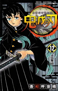 Demon Slayer: Kimetsu no Yaiba 12 (Japanska)