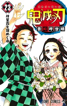 Demon Slayer: Kimetsu no Yaiba 23 (Japanska)