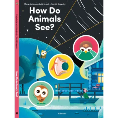 How Do Animals See?