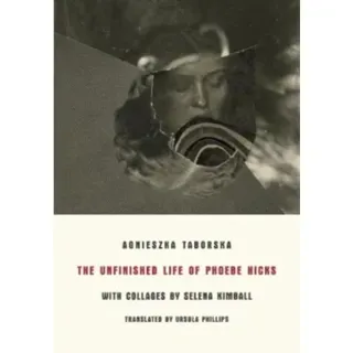 The Unfinished Life of Phoebe Hicks
