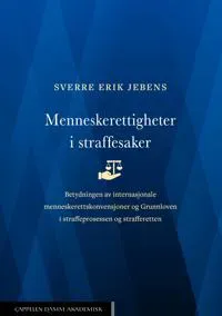Menneskerettigheter i straffesaker