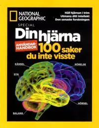 Din Hjärna