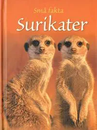 Små fakta: Surikater