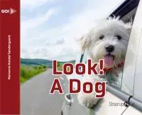 Look! A dog