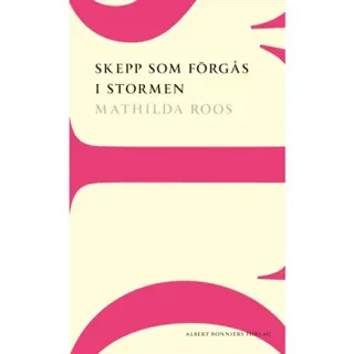 Skepp som förgås i stormen
