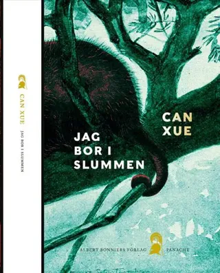 Jag bor i slummen