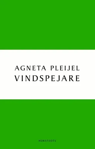 Vindspejare : boken om Abel målaren