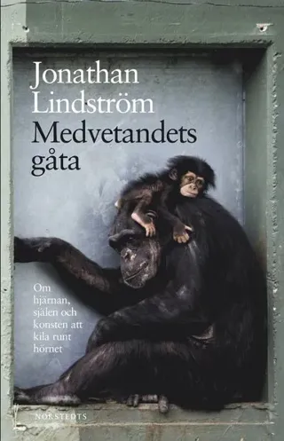 Medvetandets gåta : Om hjärnan, själen och konsten att kila runt hörnet