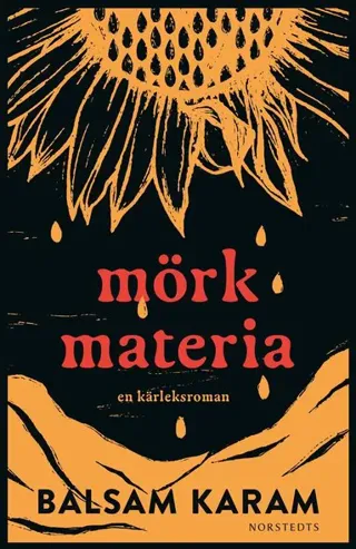 Mörk materia : En kärleksroman