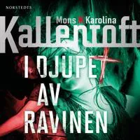 I djupet av ravinen av Norstedts
