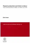 Peasant production and limits to labour : Thyolo and Mzimba districts in Ma