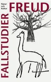 Fallstudier