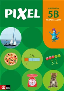 Pixel 5B Parallellbok, andra upplagan