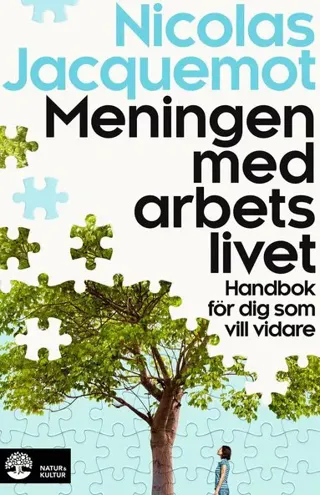 Meningen med arbetslivet : Handbok för dig som vill vidare