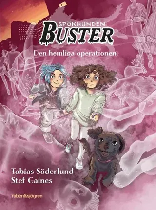Den hemliga operationen