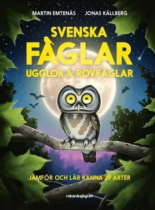 Svenska fåglar : ugglor och rovfåglar : jämför och lär känna 29 arter