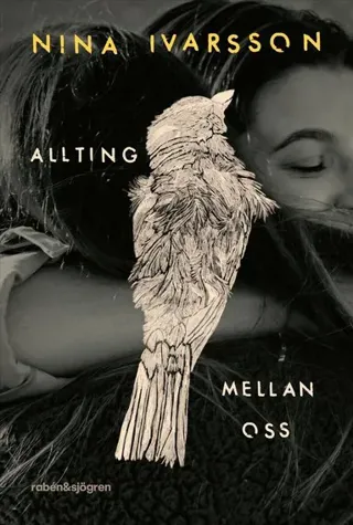 Allting mellan oss