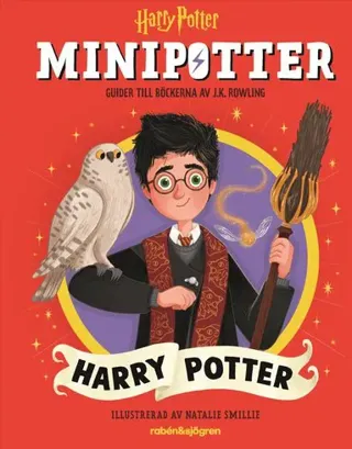 Harry Potter : guider till Harry Potter-böckerna av J.K. Rowling