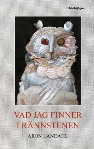 Vad jag finner i rännstenen