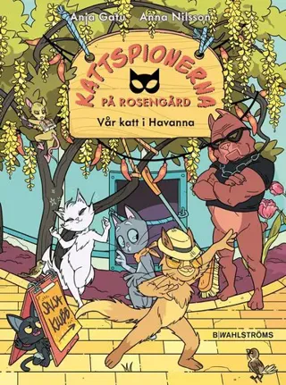 Vår katt i Havanna