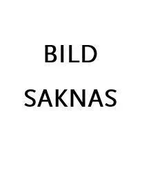 Utredningsskyldighet, bevisbörda och beviskrav i förvaltningsprocessen