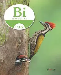 Utkik 4-6 Biologi