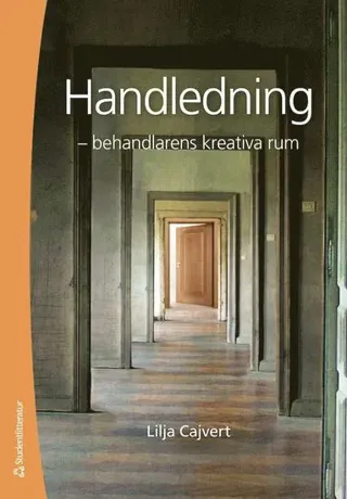 Handledning : behandlarens kreativa rum