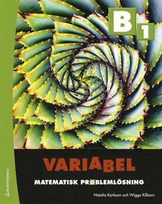 Variabel B1 - Digitalt + Tryckt - Matematisk problemlösning