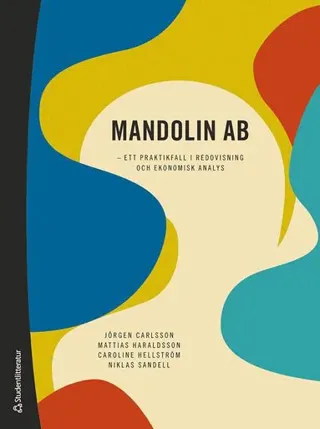 Mandolin AB : ett praktikfall i redovisning och ekonomisk analys