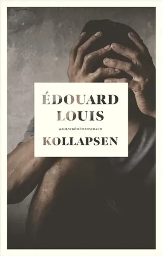 Kollapsen