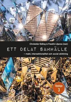Ett delat samhälle : Makt, intersektionalitet och social skiktning